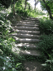 New steps Ecclesbourne Glen