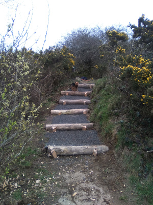 Quarry_steps_18-03-16