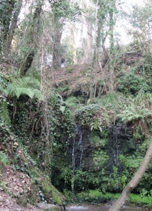 dripping_well_24-01-17_web