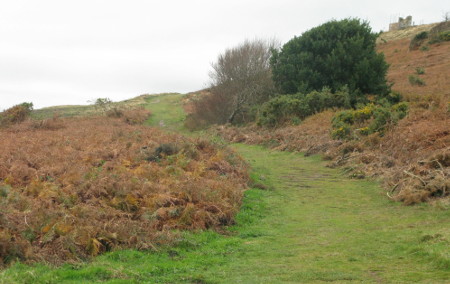 fh_cg_lookout_now_web