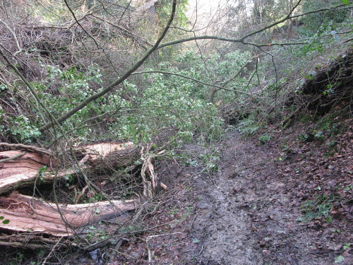 drip_well_path_2_13-02-17