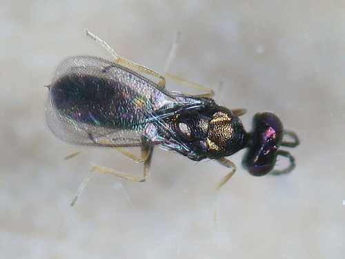 41998477731_c32124f728